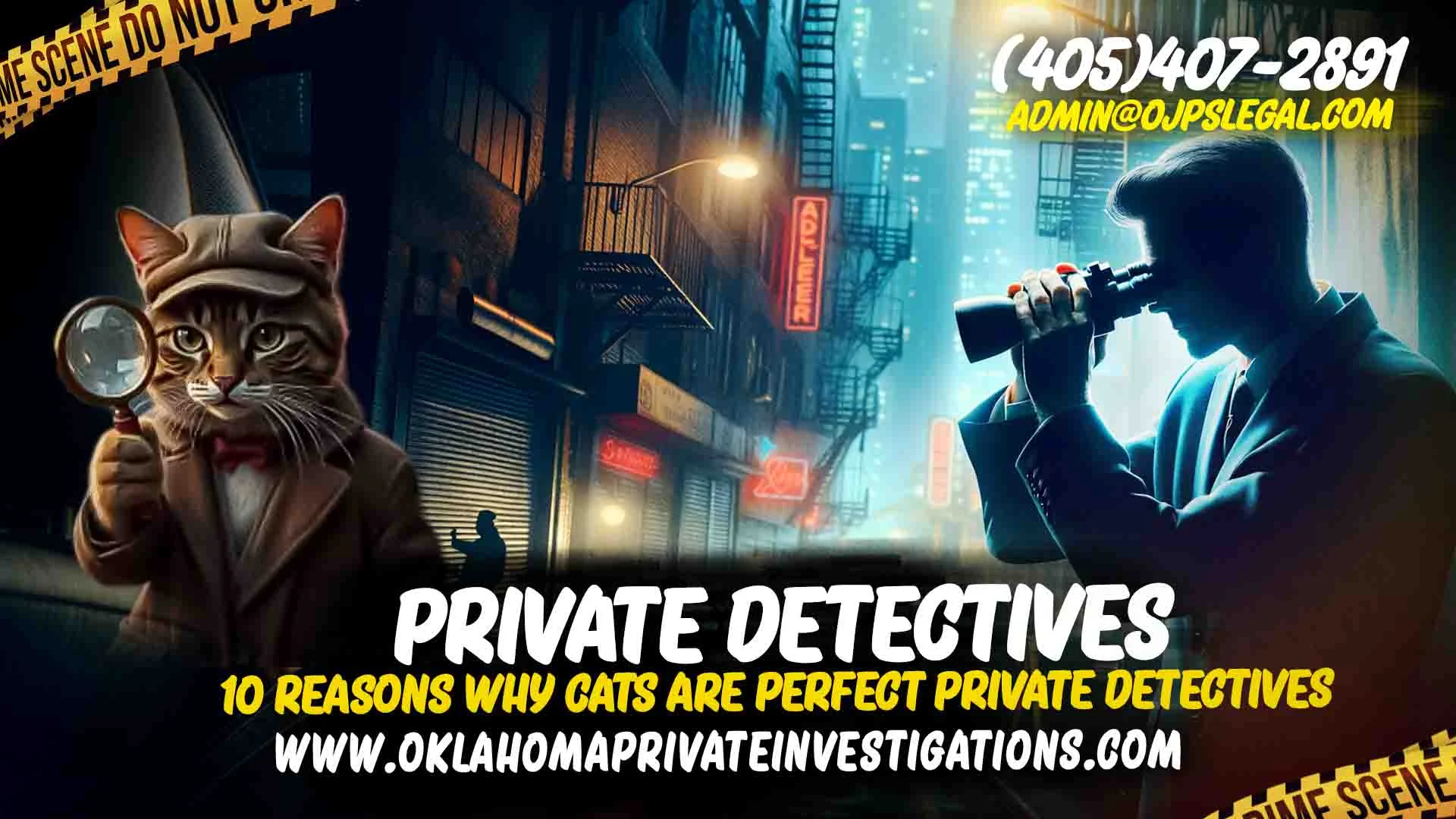 Cat Private Detective
